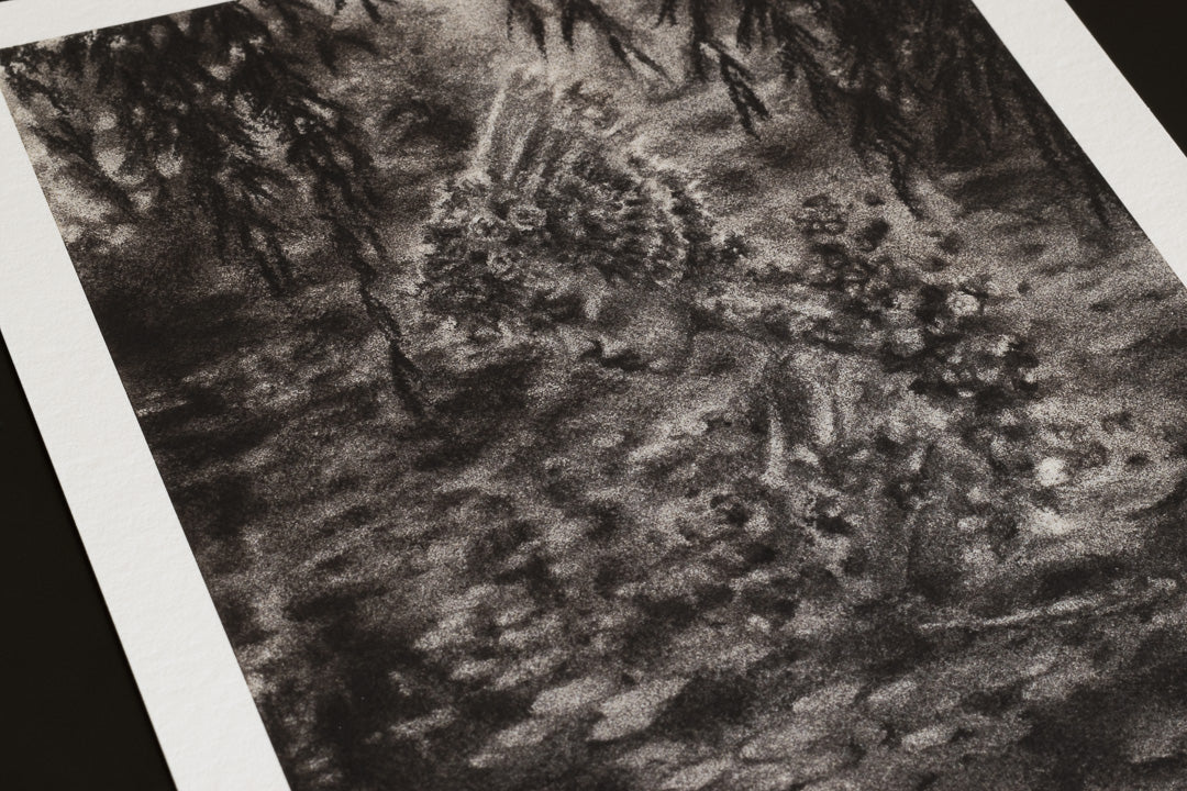 Ponder in the Shallow - Print