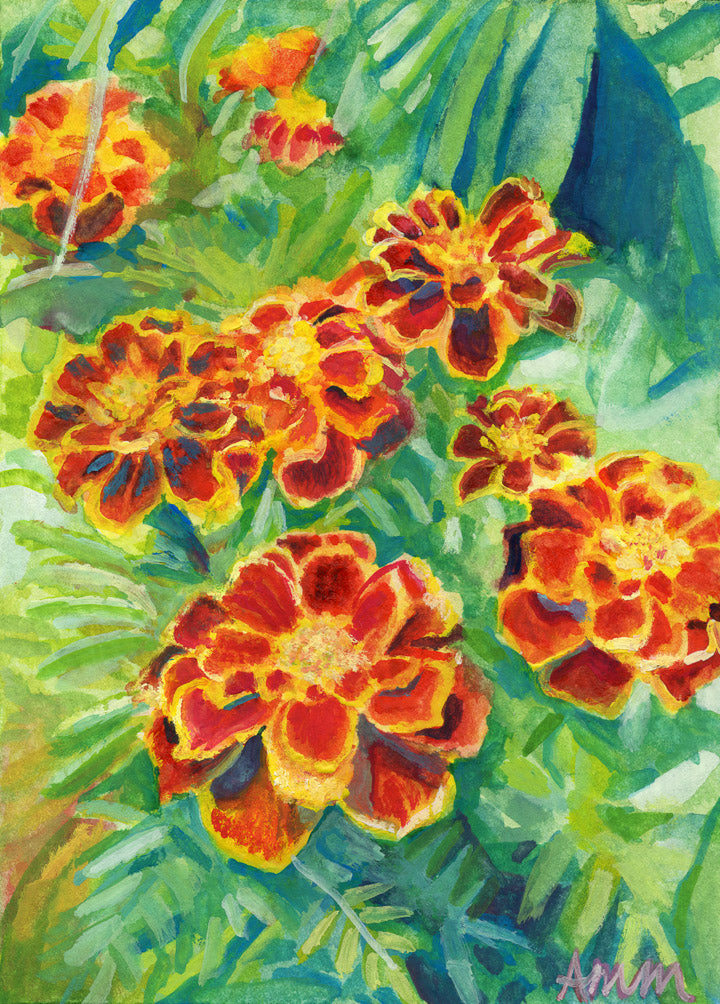 Scenes of Summer