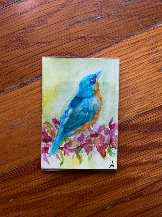 Bluebird - Magnet