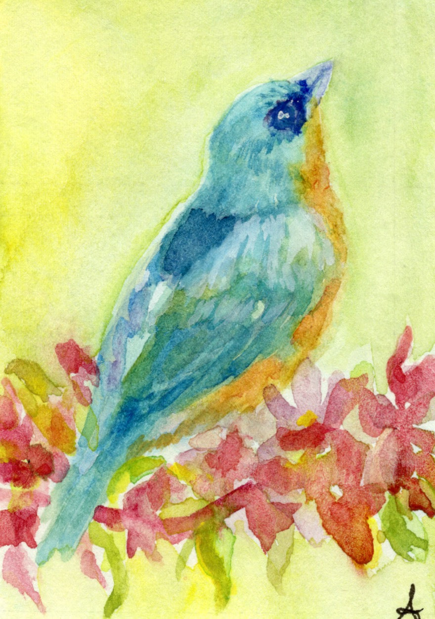 Bluebird - Magnet