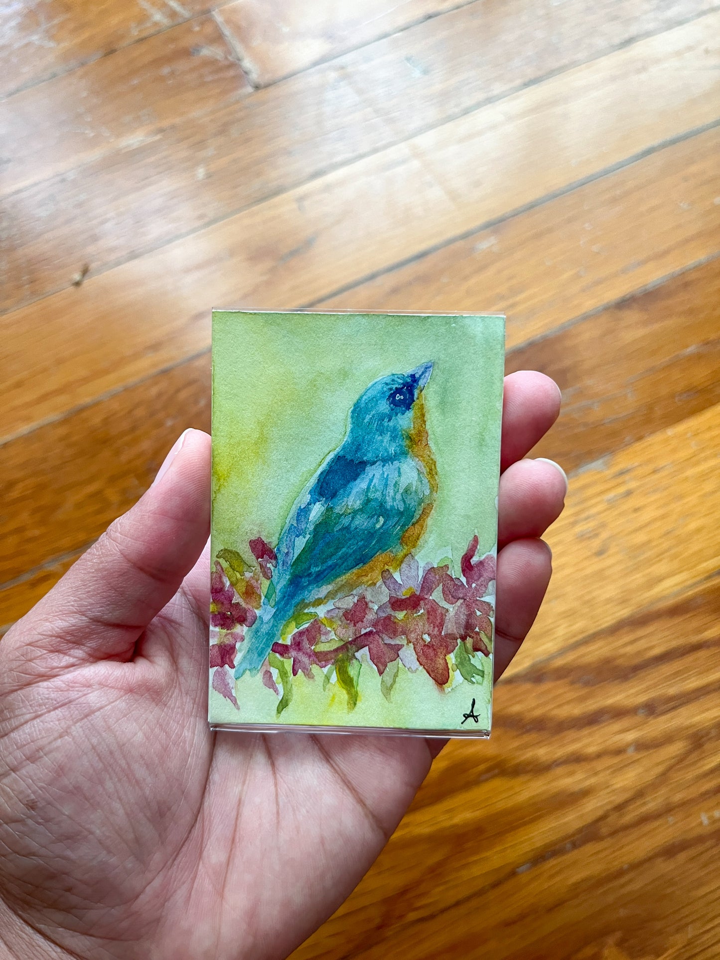 Bluebird - Magnet