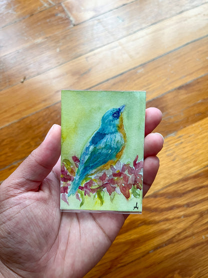 Bluebird - Magnet