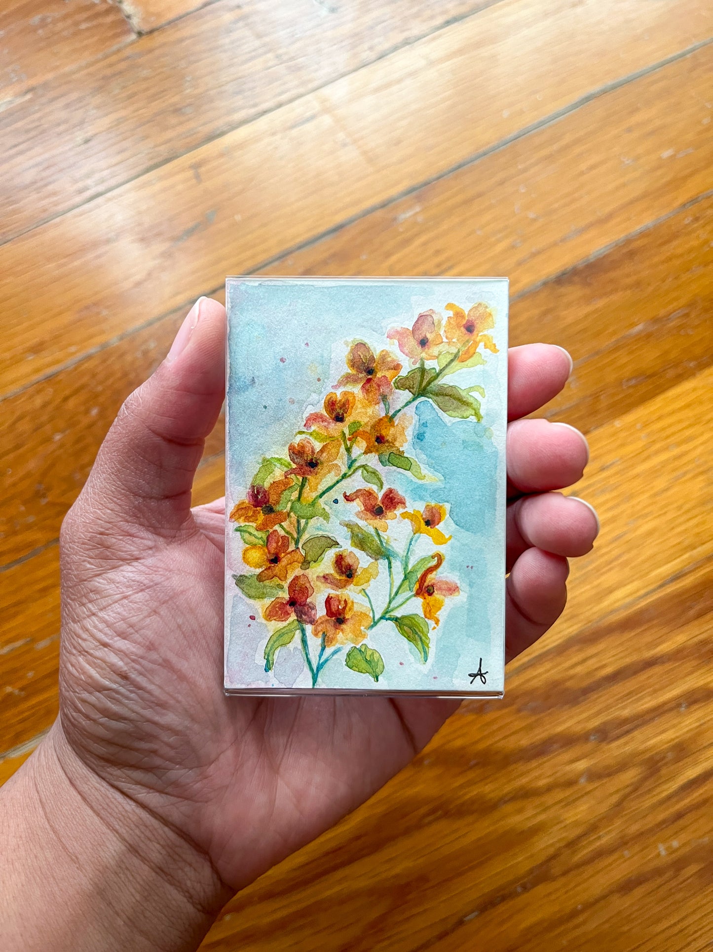 Flowering Dogwood - Magnet