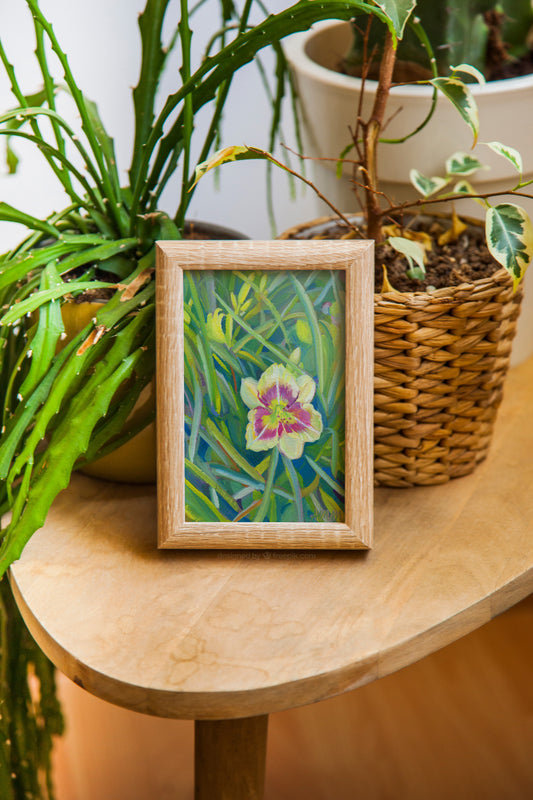 Lily - Original
