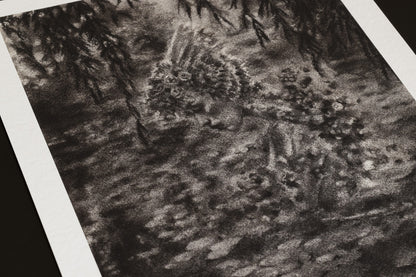 Ponder in the Shallow - Print