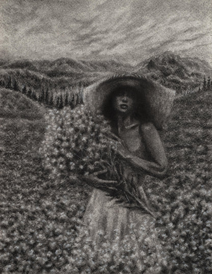 Shadows of Life - Print