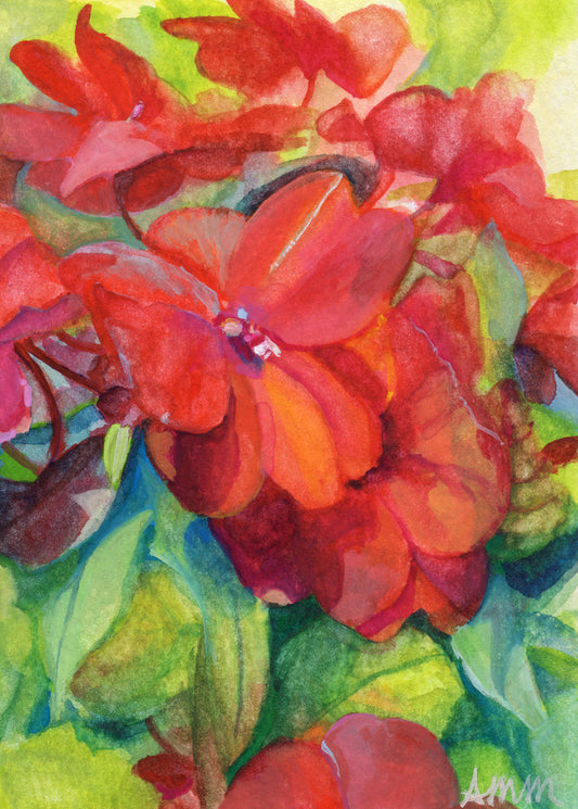 Impatiens - Print
